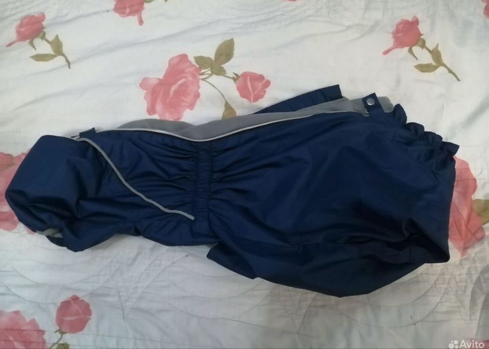 Комбинезон для таксы мальчика