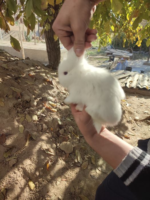 Pastda nomerga aloqaga chiqamiz