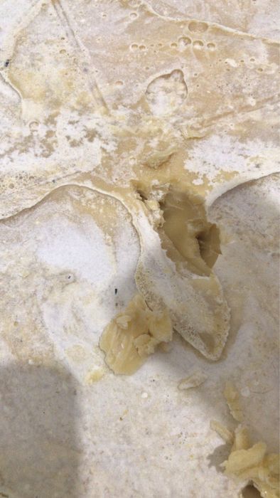 Мёд натуральный оптом