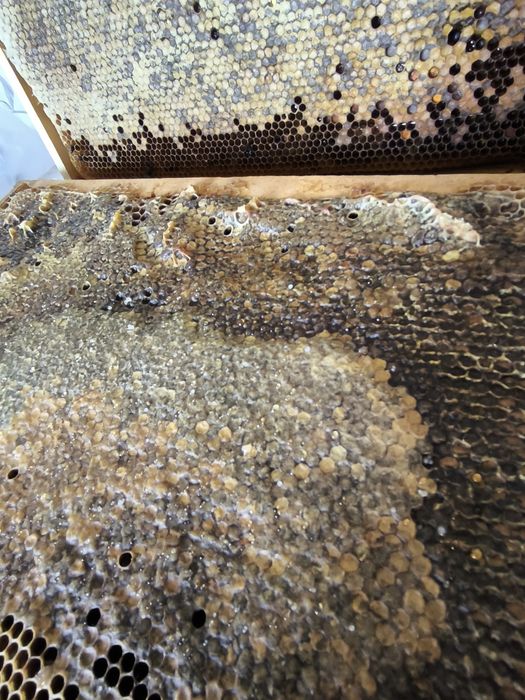 Детское питание натуральное