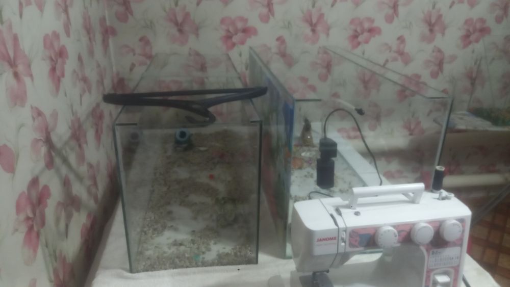 Аквариумные рыбки