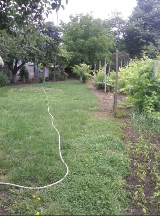 Продава се Къща в с. Буря, Област Габрово - 90 кв.м за 517 €/кв.м - Снимка #6