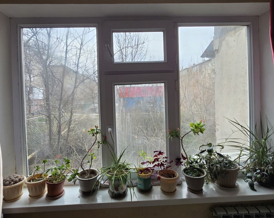 Окно пластиковое