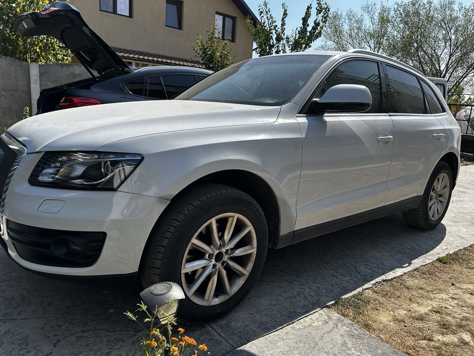Audi audi audi audi
