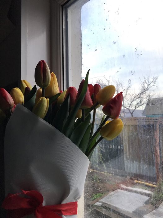 Тюльпаны красные желтые букеты