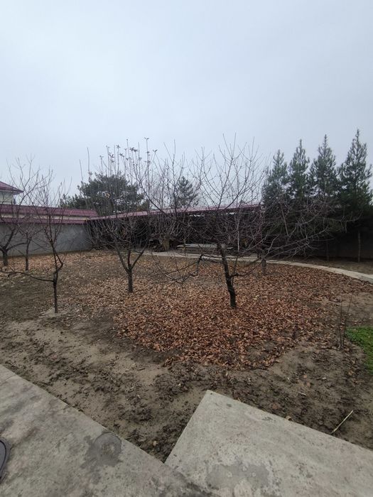 Продается дом в премиальной локации, Мирзо-Улугбекский район Салом чай