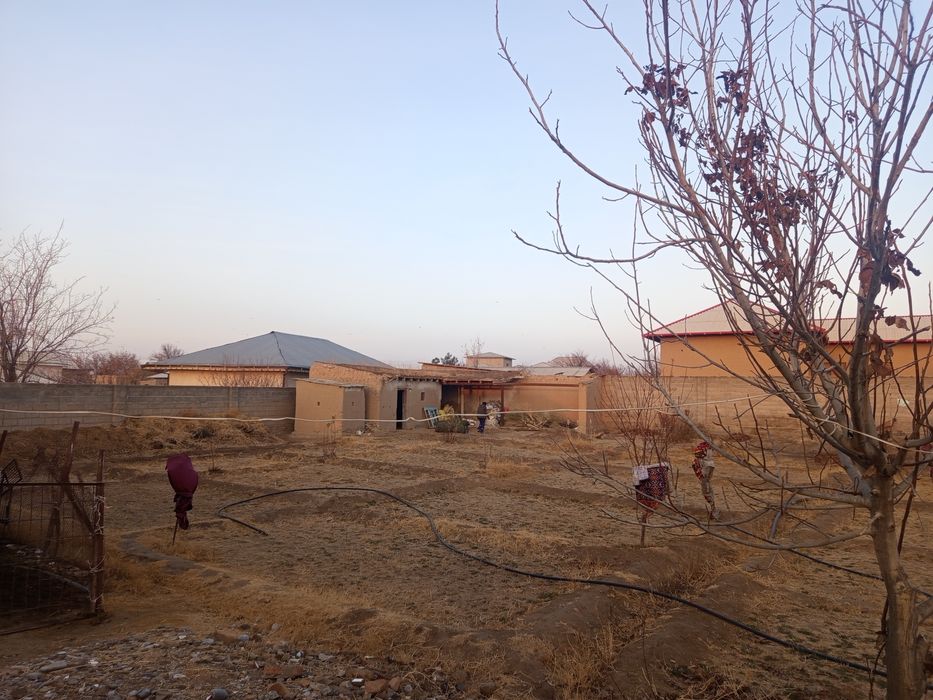 Xovli Sotiladi 18 sotix