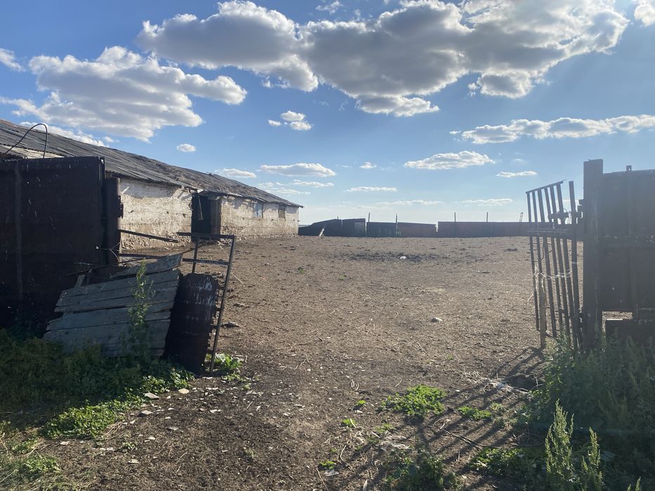 Крестьянское хозяйство