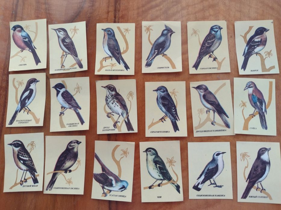 Коллекция спичечных, этикеток СССР