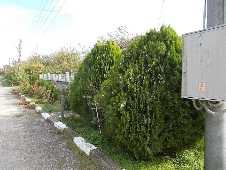 Продава се Къща в с. Змеево, Област Добрич - 120 кв.м за 384 €/кв.м - Снимка #14