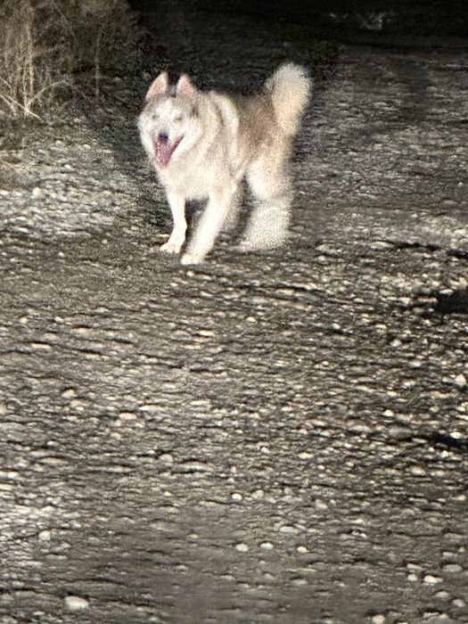 Достойный кабель лайка на  вязку