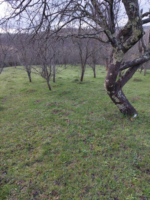 Vand teren intravilan