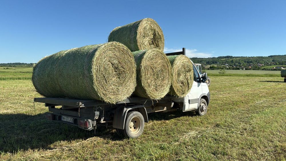 Baloți de  lucernă.