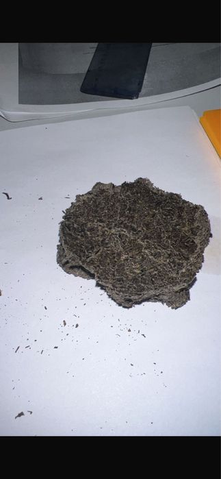 Продам жмых подсолнечный оптом