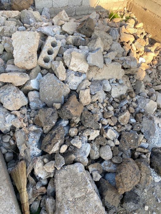 Блужник хороший состояние