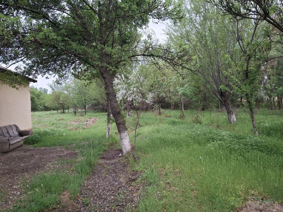 Oqoltin tumanida sotuvdagi yer