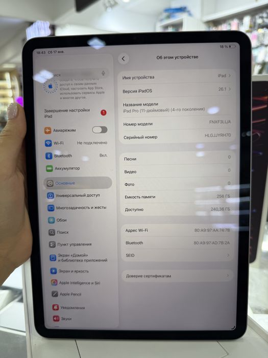 iPad Pro 11 M2 256GB 100%