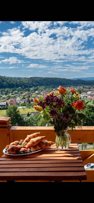 Pensiune de închiriat Sovata cu piscină incalzita