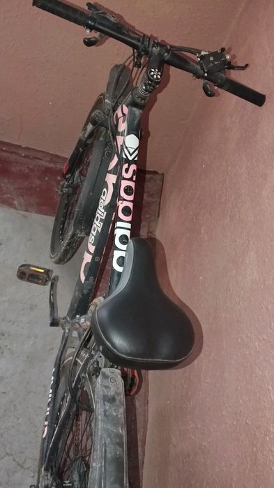 Velosiped  kurerlik qilmoqchi boʻganlar