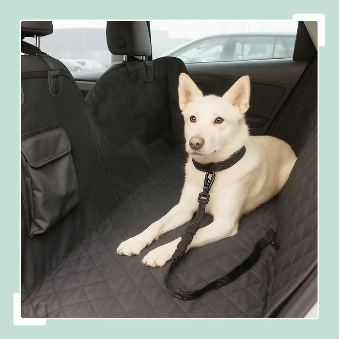 Centura de siguranta auto pentru caini cu amortizor carabina si Isofix