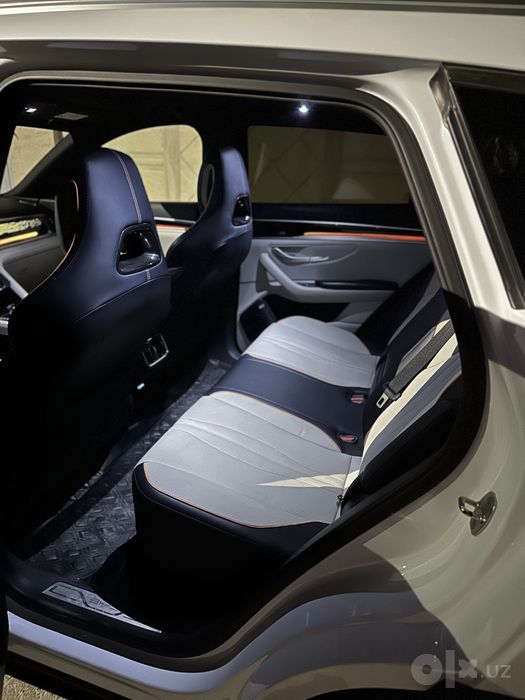 BYD Champion 605 EV