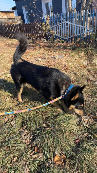 Мальчик ищет дом