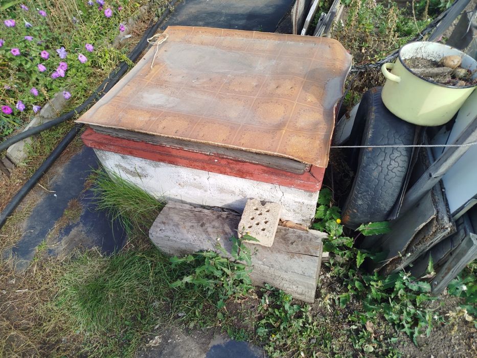 Продам дачу на оптемист