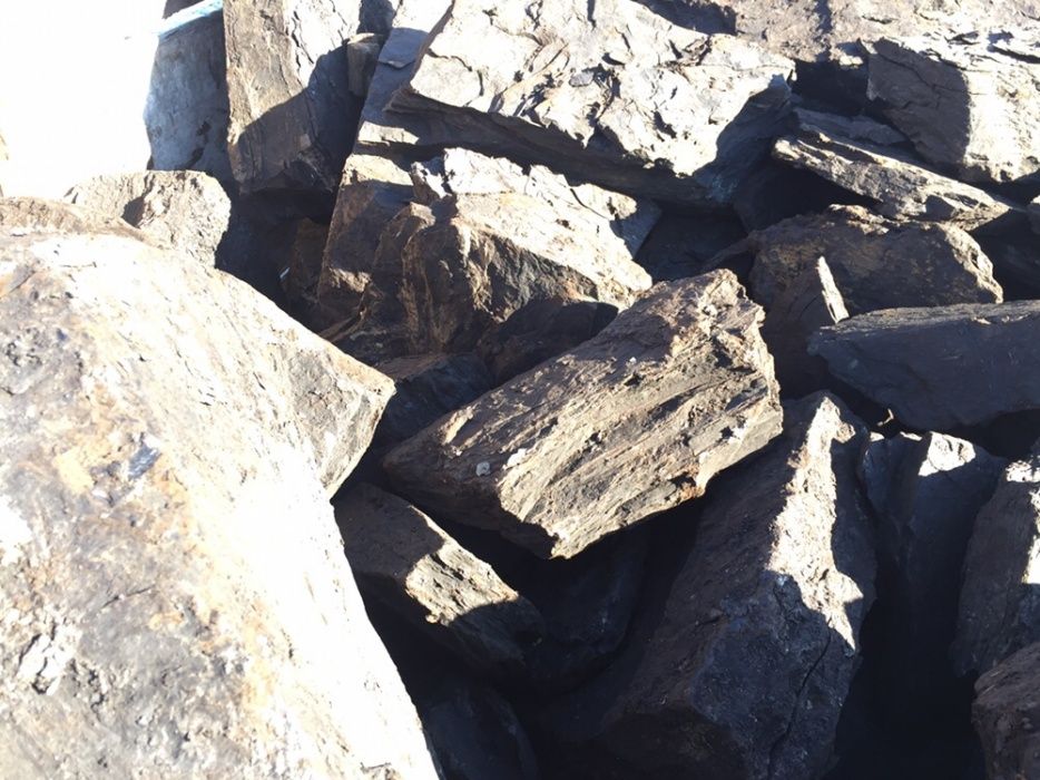 Carbuni pentru foc Lignit super oferta