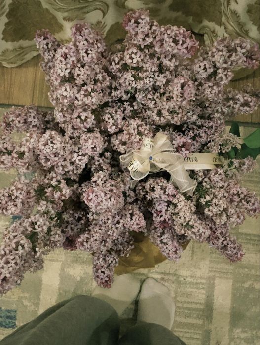 Сирень сатылады!!!