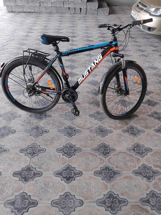 Velosapet nomi mustang.