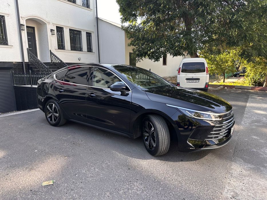 Byd Chazor 55km 2026