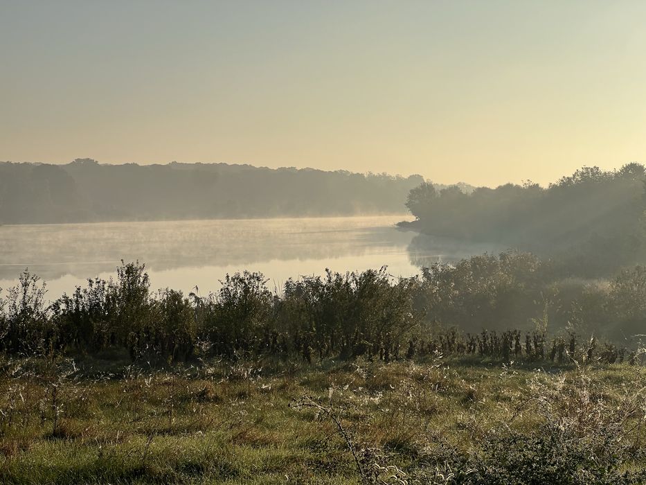 Teren Gradistea lac Caldarusani