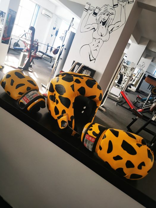 Casa și mănuși sport contact, box etc