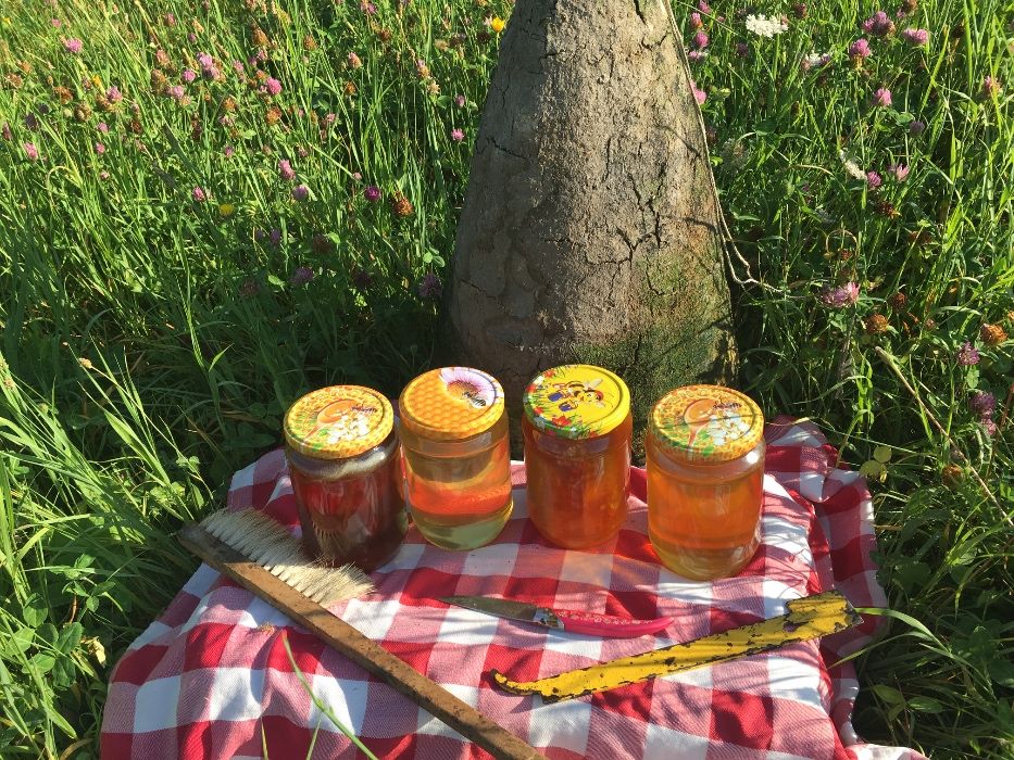 Родопски пчелен мед