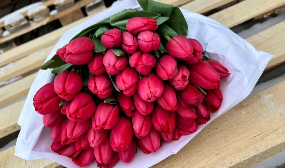 Продам тюльпаны к празднику