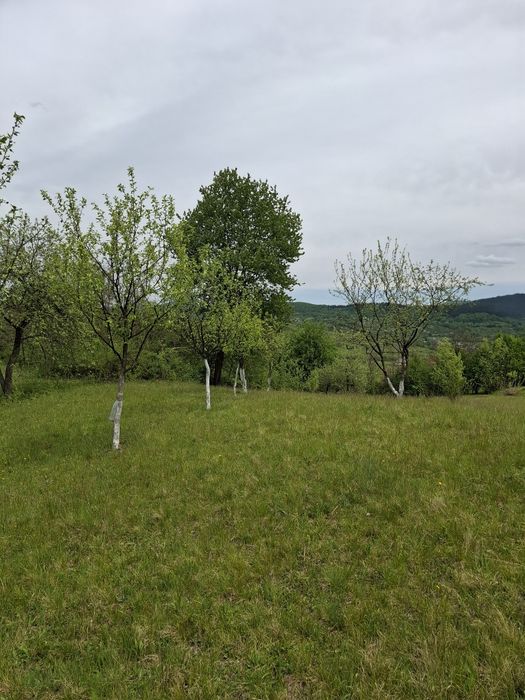 Terenuri de vânzare