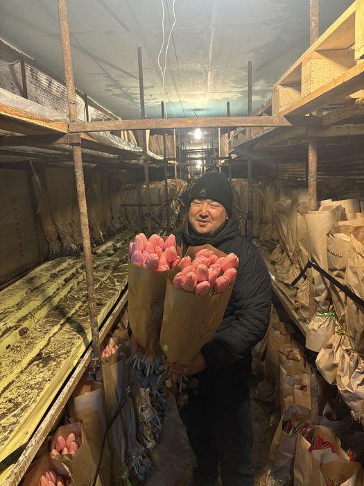 Самые крупные тюльпаны в Астане