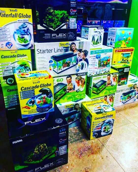 Аквариумистика в "Живом Уголке" в Таугуле