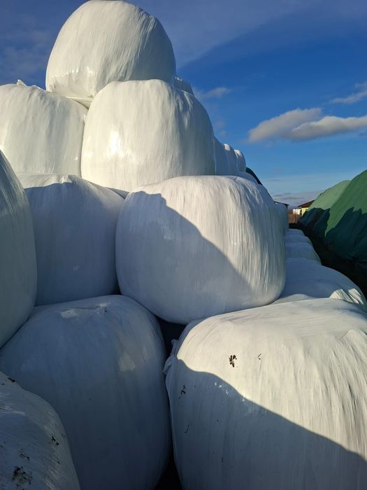 Baloți de lucernă uscată,înfoliată,de fân și baloți de paie de vânzare