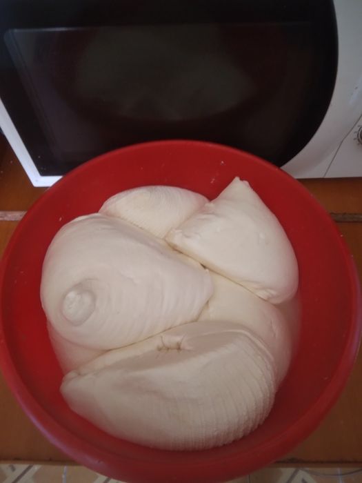 Branza proaspătă oaie și capră.