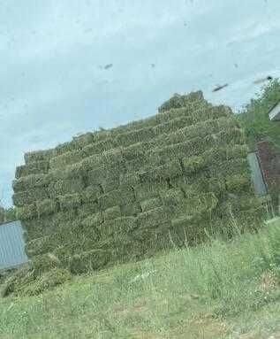 Люцерна, жонышка в тюках