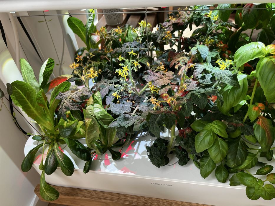 Seră Click and Grow