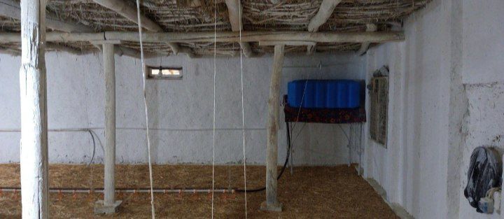 Uy-joy, tovuqxona sotiladi 5.5 sotix hamma sharoitlari bor tovuqboqish