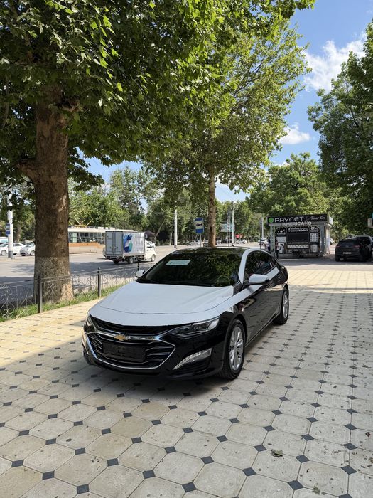 Malibu priemer 2022 full