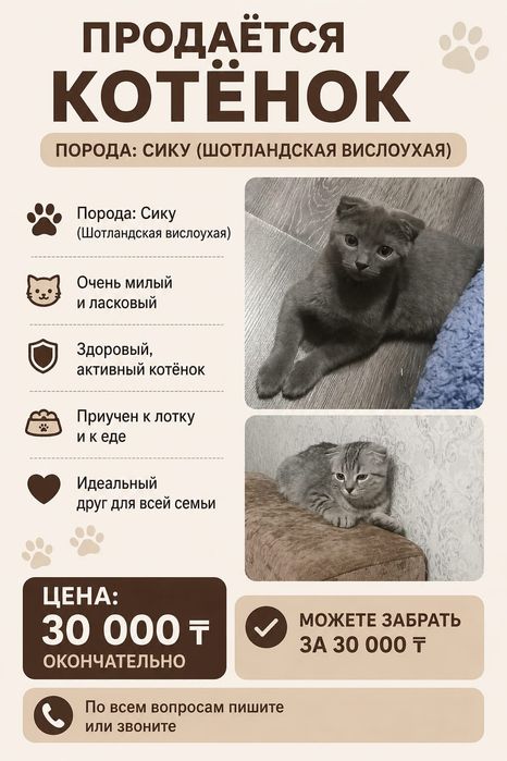 Домашние животные