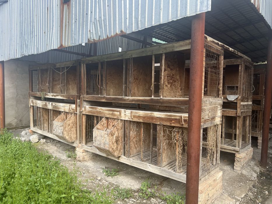 Продаются клетки для кроликов