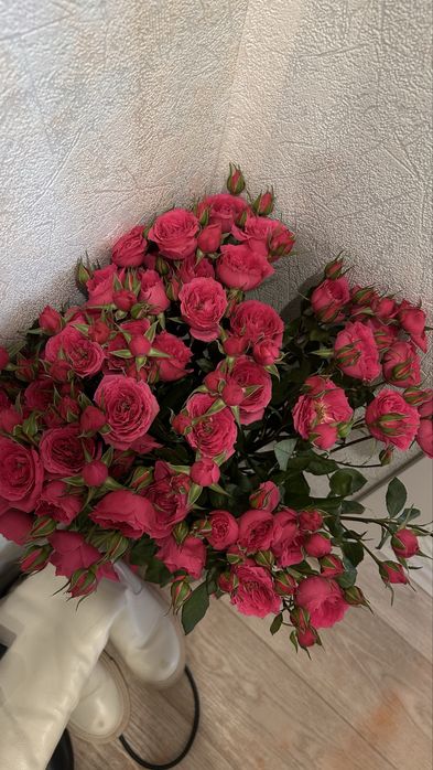 Цветы, кустовые розы