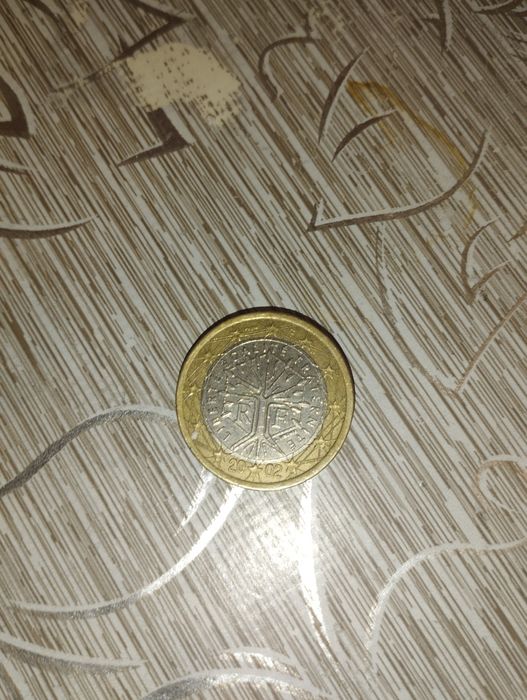 1 французский евро