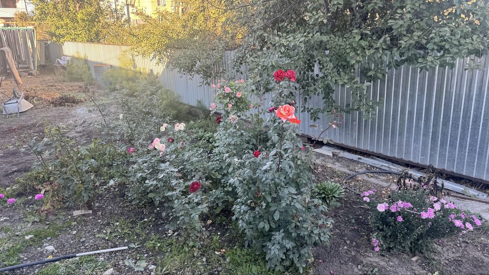 Продам Баня, Салон красоты, коврамойка