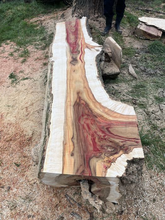 Услуги с Мобилен Гатер